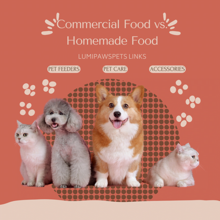 Feature Image for Commercial Food Post.