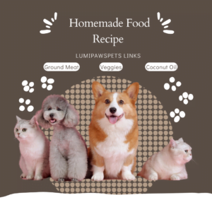 Read more about the article Yummy PET Homemade Recipe
