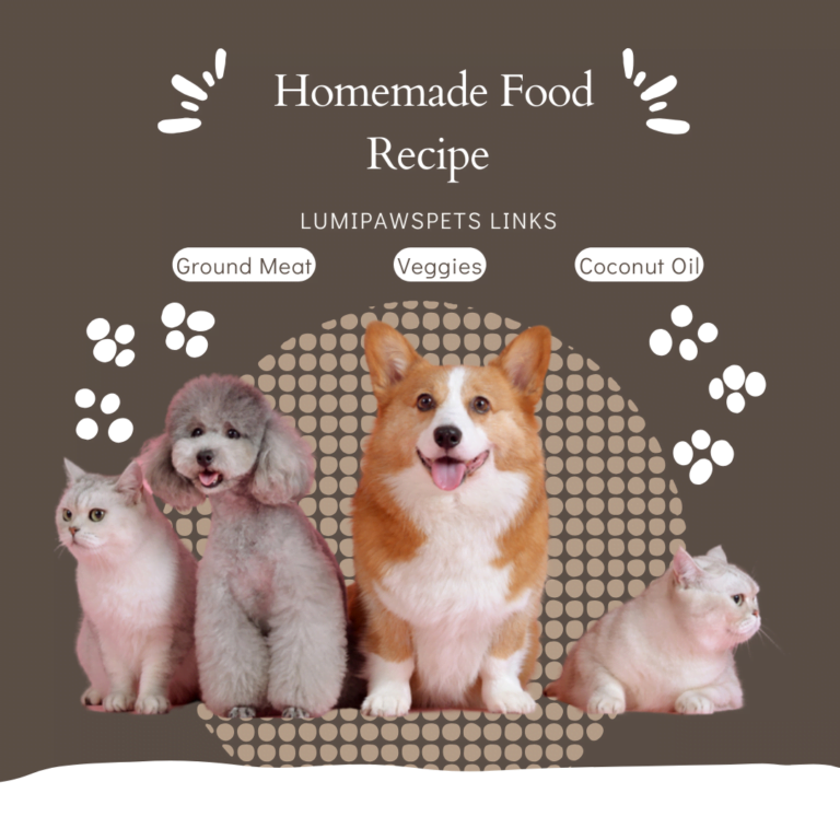 Yummy PET Homemade Recipe