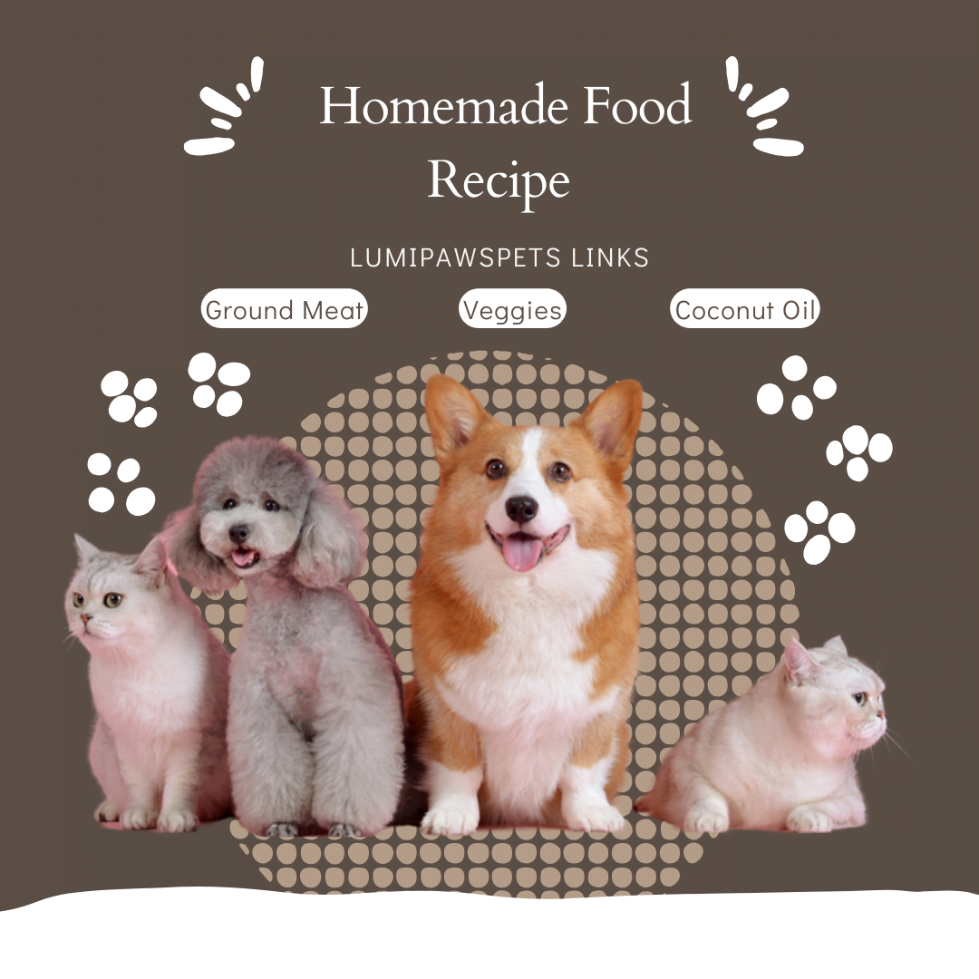 #Yummy PET Homemade Recipe - LuMiPawsPets